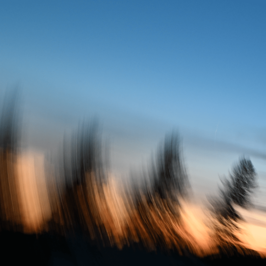 Dream Journal —&nbsp;Vein