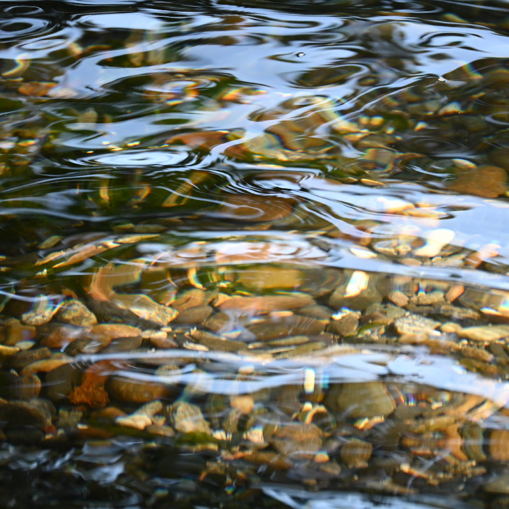 Dream Journal Thur. 04 Sept. 2025 —&nbsp;Crest